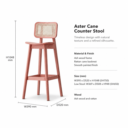Aster Cane Counter Stool