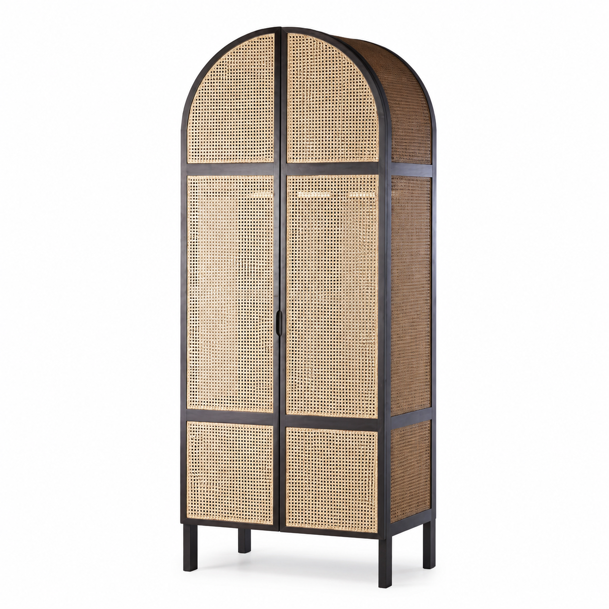 Modern Rattan Storage Cabinet