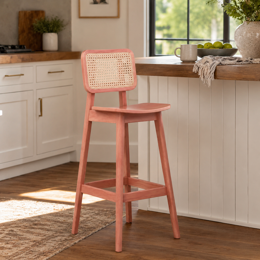 Aster Cane Counter Stool