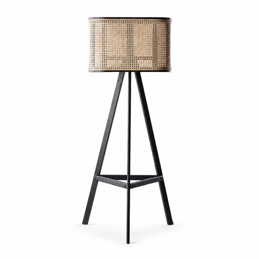 Modern Aster Cane Floor Lamp