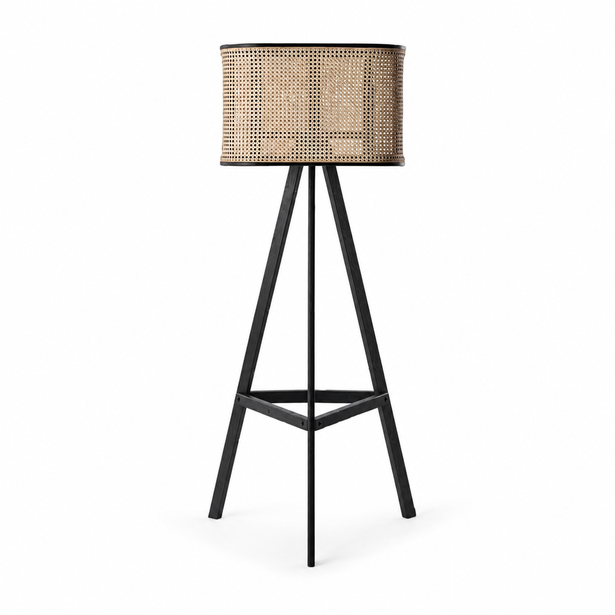 Modern Aster Cane Floor Lamp