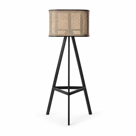Modern Aster Cane Floor Lamp