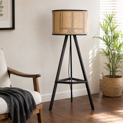 Modern Aster Cane Floor Lamp