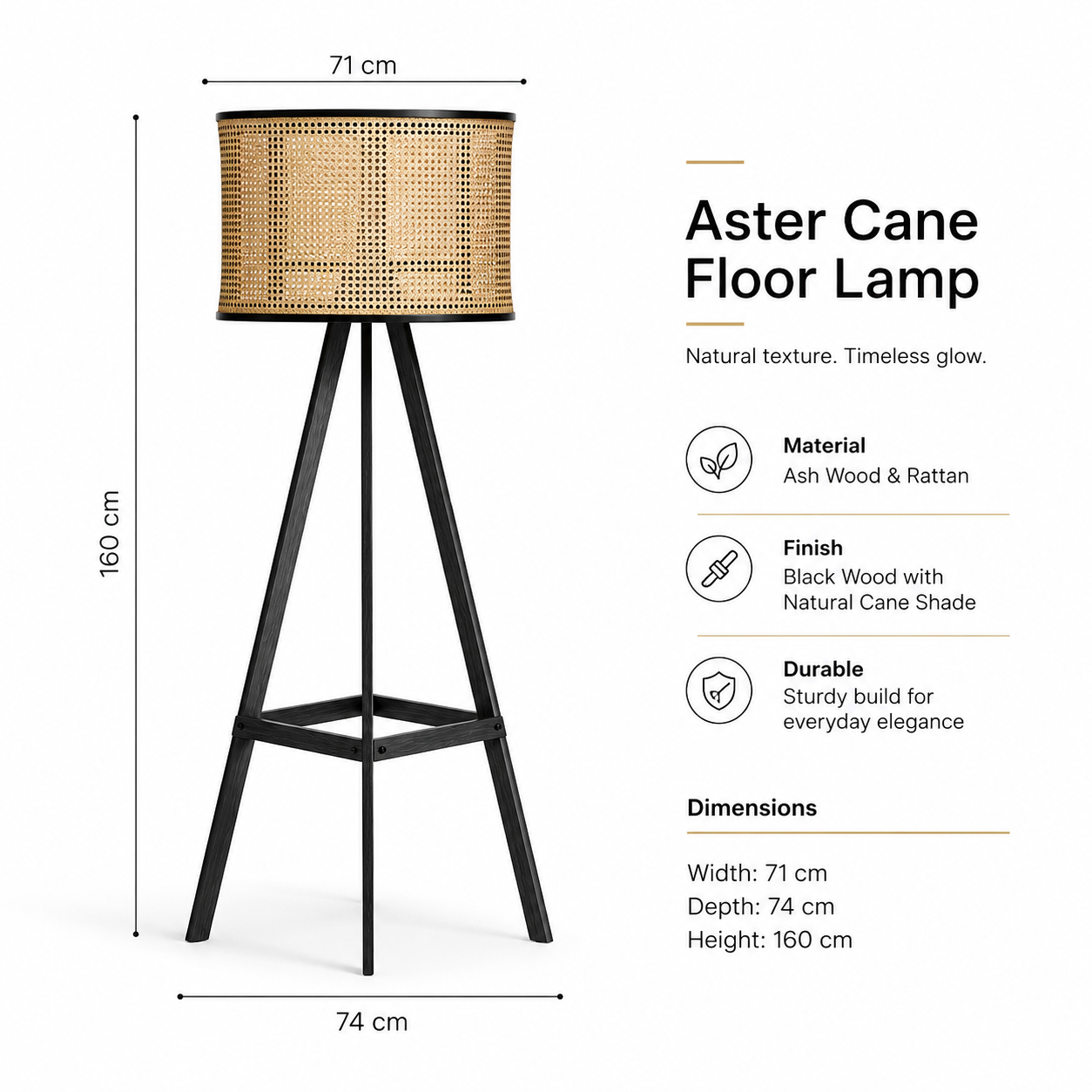 Modern Aster Cane Floor Lamp