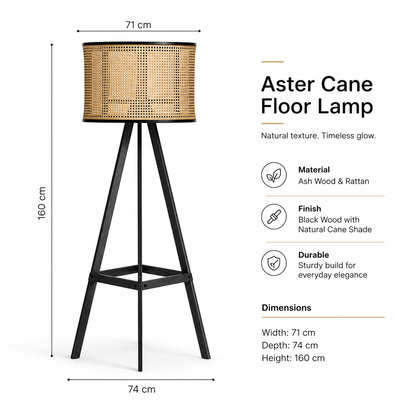 Modern Aster Cane Floor Lamp
