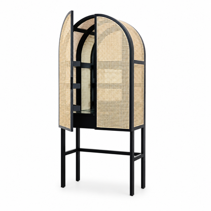Modern Rattan Storage Cabinet
