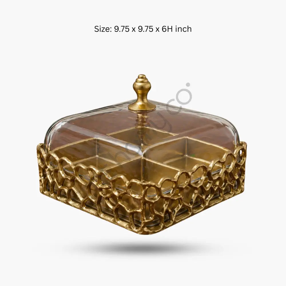 Elegant Square Serving Tray with Glass Dome | 4 Section Dry Fruit & Snack Box - Treys